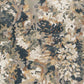 Braymen Medium Rug
